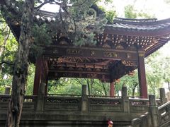 -汇龙潭