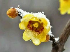 -钱小奴创意自助餐厅·原切谷饲安格斯畅吃(苏州昆山招商花园城店)