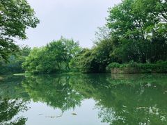 -八哥美术·成人美术画室(总校区)