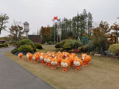 -上海长兴岛郊野公园