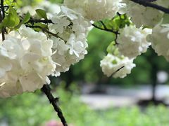 -东坡赤壁风景名胜区