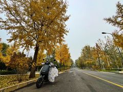 -绿堤公园