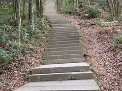 -梧桐山风景名胜区