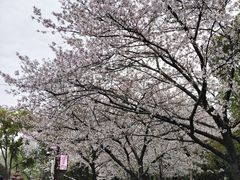 -堤角公园