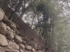 -三江森林温泉度假区