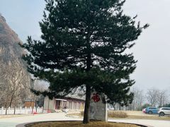 -秦岭终南山世界地质公园翠华山景区