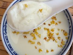 -周大娘牛乳(旧寨古村总店)