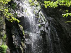 -藏龙百瀑风景区