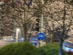 -华中科技大学光谷体育馆