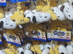 -九木杂物社(中心店)