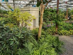 -南宫五洲植物乐园