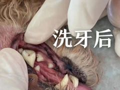 -爱派特动物医院·全科诊疗中心