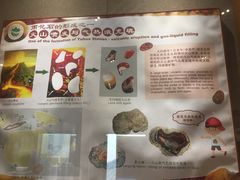 -六合国家地质公园桂子山景区