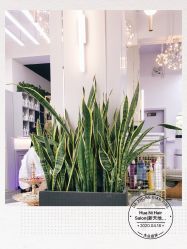 -FUTURE HN男士发型风格设计