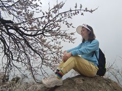 -大觉寺-停车场