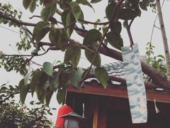 -郑州银基黄帝宫御温泉