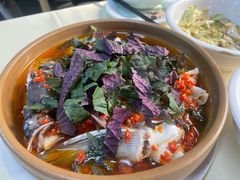 -笨罗卜浏阳菜馆(罗湖文和友店)