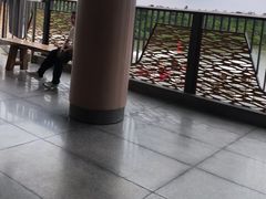 -东寨港红树林旅游区