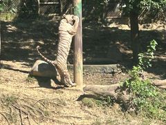 -常州淹城野生动物世界