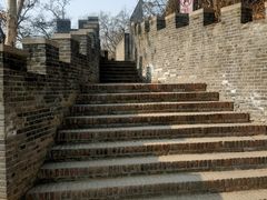 -保定市动物园