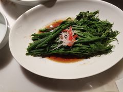 -初蓉丨遇见新川菜(亲贤街荣耀店)