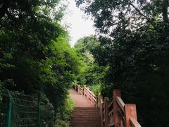 -香山公园