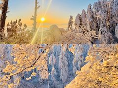 -瓦屋山景区