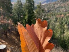 -北京十三陵国家森林公园蟒山景区