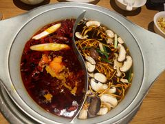 -青瓷火锅料理(西单大悦城店)