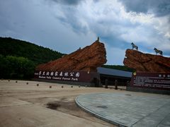 -茅兰沟国家森林公园
