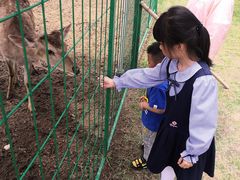 -华夏文旅海洋公园