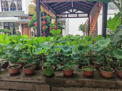 -聚福宝合苑食府(南头镇店)