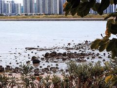 -碧桂园十里银滩