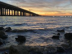 -宝安西湾红树林湿地公园