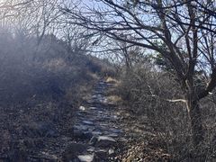 -妙峰山风景名胜区