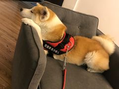 -YCHL Studios健身工作室(市二宫店)