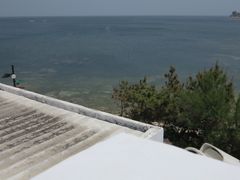 -海岛日记(养马岛店)
