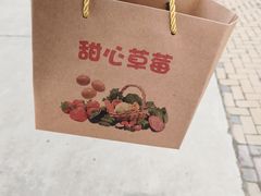 -甜心庄园·甜心草莓采摘园(西青中北店)
