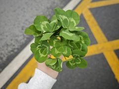 -盈盈水盆(西一路店)