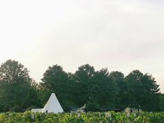 -安德鲁户外烧烤帐篷营地(马泉营店)