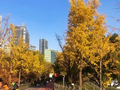 -北外滩滨江绿地