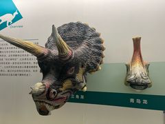 -安徽省地质博物馆