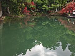 -莫干山风景区