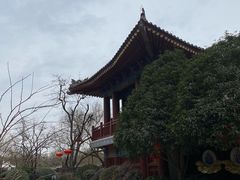 -华清宫景区