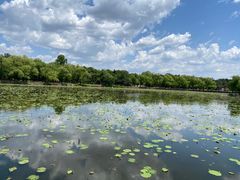 -长春市南湖公园