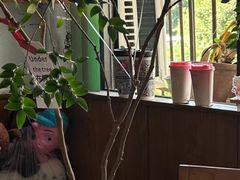 -树夏(金楠天街店)