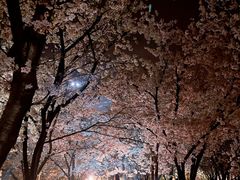 -龙美术馆(西岸馆)