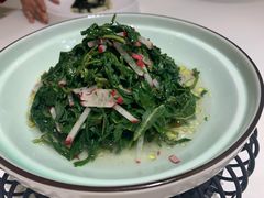 清拌野苦菜-九十九顶毡房(阜石路店)