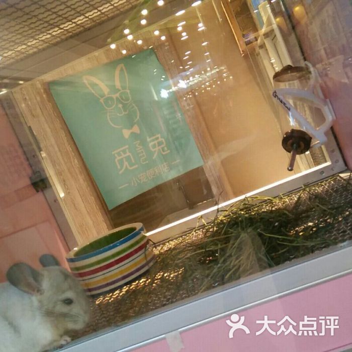 觅兔小宠店图片-北京宠物店-大众点评网