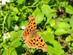 -白鹭湾湿地公园